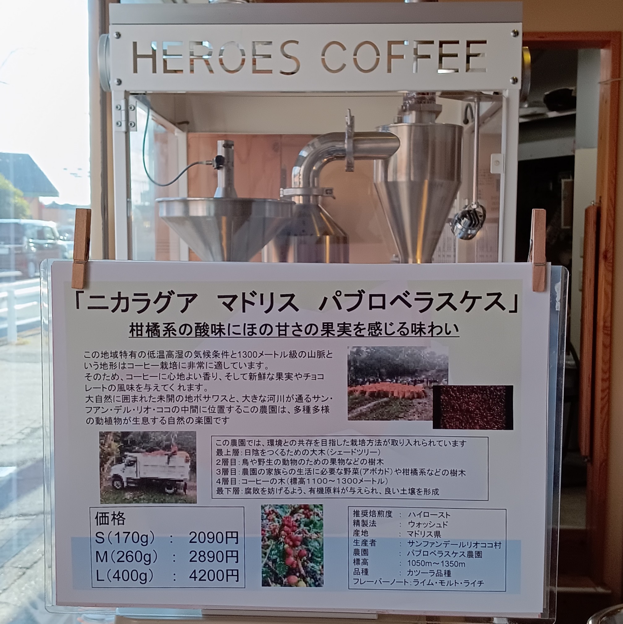 【新しく登場は、浅煎りの】「ニカラグア　マドリス　パブロベラスケス」